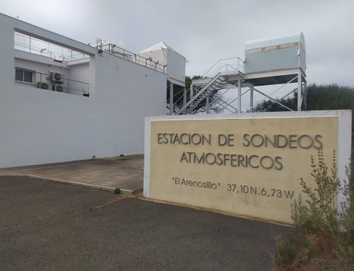 INTERCOMPARACIONES DE REDMAAS